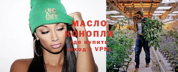 индика Наволоки