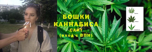 PSILOCYBIN Надым