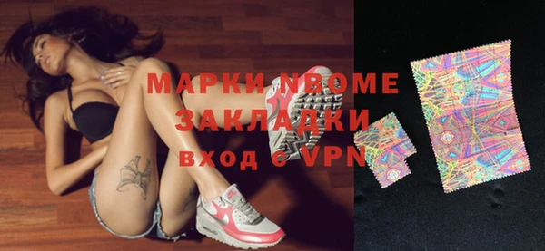 индика Наволоки