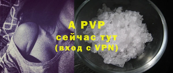 индика Наволоки