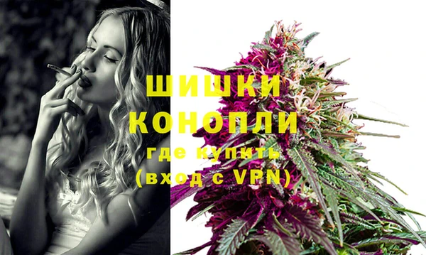 индика Наволоки