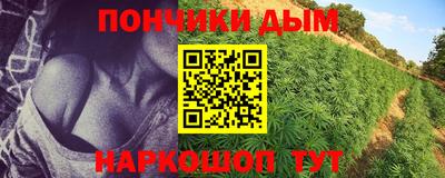 марки nbome Бийск