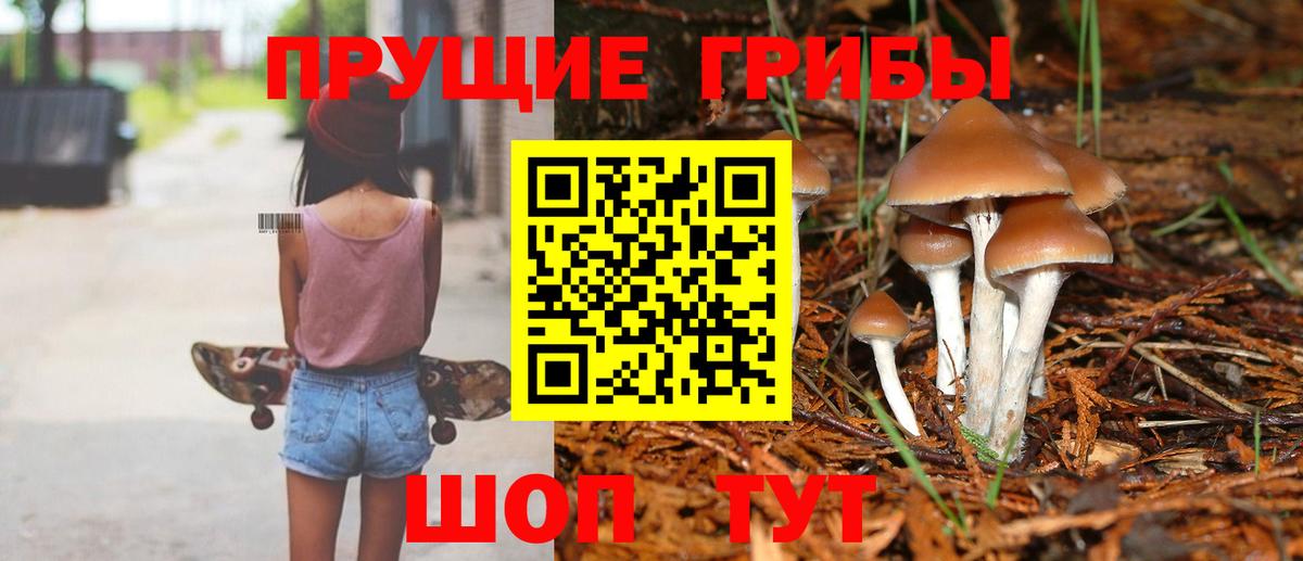 Псилоцибиновые грибы Magic Shrooms Мытищи
